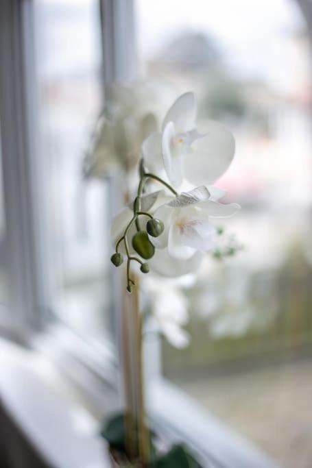 Coastal Haven In Leigh-On-Sea Apartment เซาเทนด์ ออน ซี ภายนอก รูปภาพ